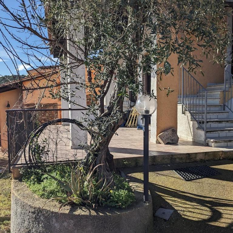 Casa della Balena - Appartamento con 3 Camere da Letto e Vista Mare - 21