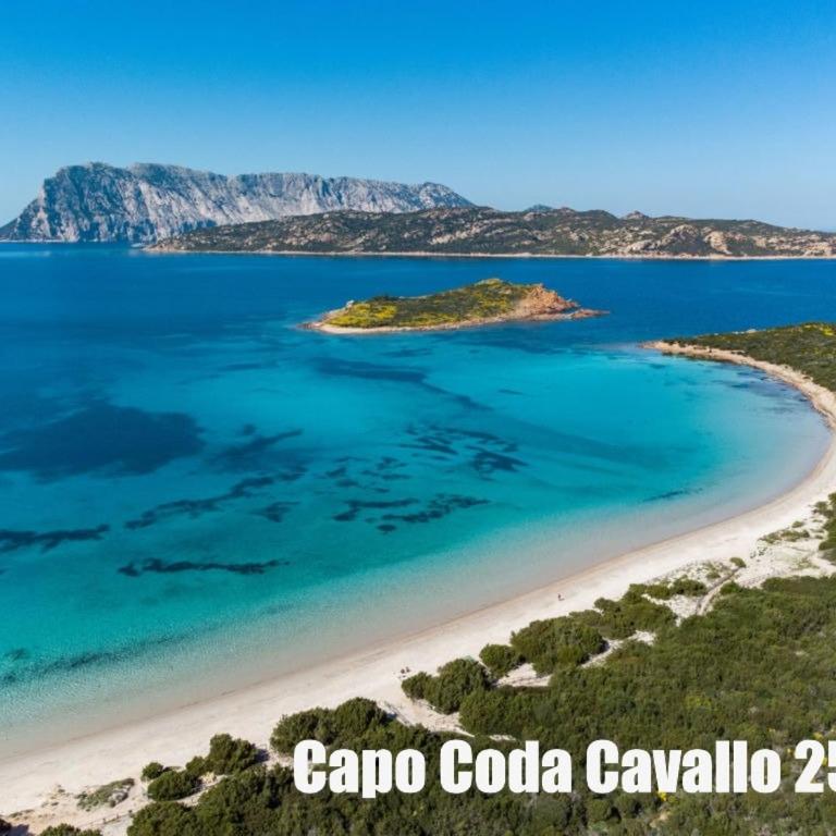 Casa della Balena - Appartamento con 3 Camere da Letto e Vista Mare - 44