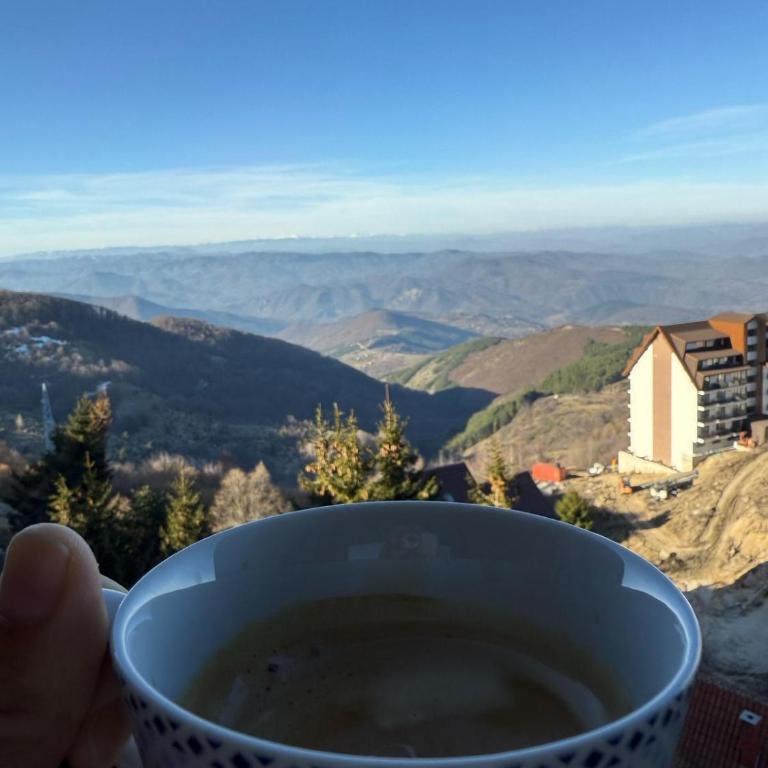 VAB Apartments & SPA, Residence hill, Kopaonik - One-Bedroom Apartment - 14
