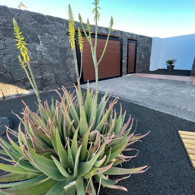 Villa Aloe 4 - Three-Bedroom Home - 4