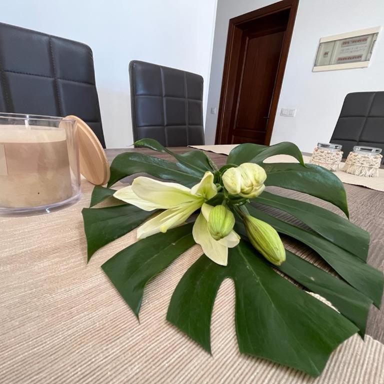 Villa Aloe 4 - Three-Bedroom Home - 29