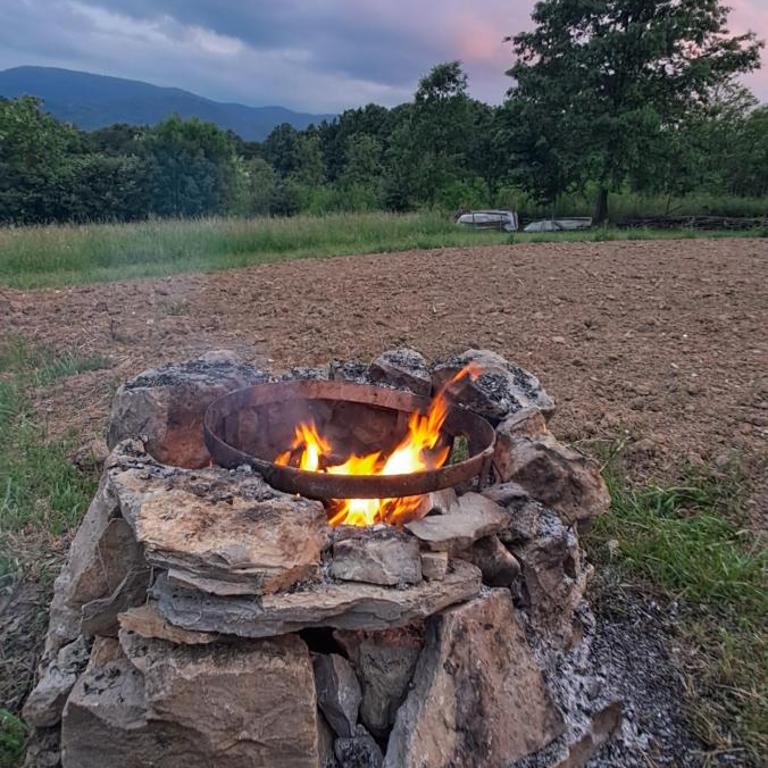 Brvnara "Duboki Potok" - Kuća sa 1 Spavaćom Sobom - 34