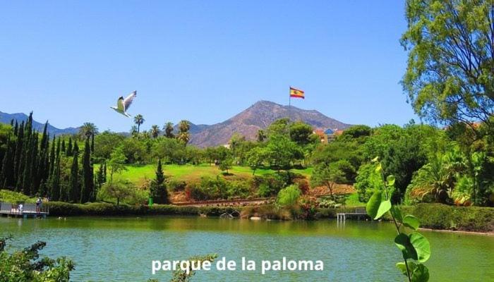 beautiful studio in Benalmádena - Apartamento de 1 dormitorio - 20