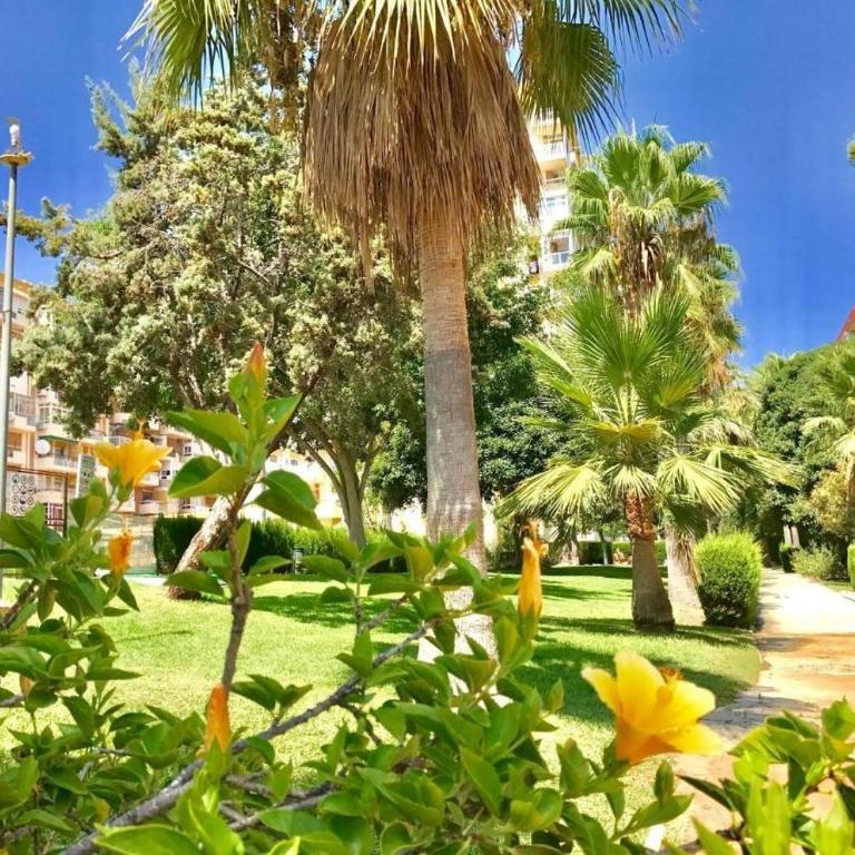 beautiful studio in Benalmádena - Apartamento de 1 dormitorio - 30