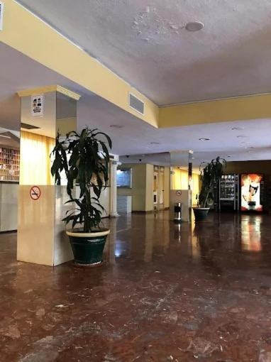 beautiful studio in Benalmádena - Apartamento de 1 dormitorio - 42