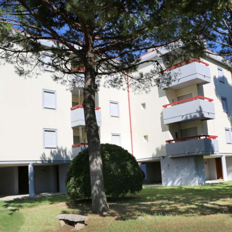 LUCCIOLA - Appartamenti - Appartamento con 3 Camere da Letto - 1