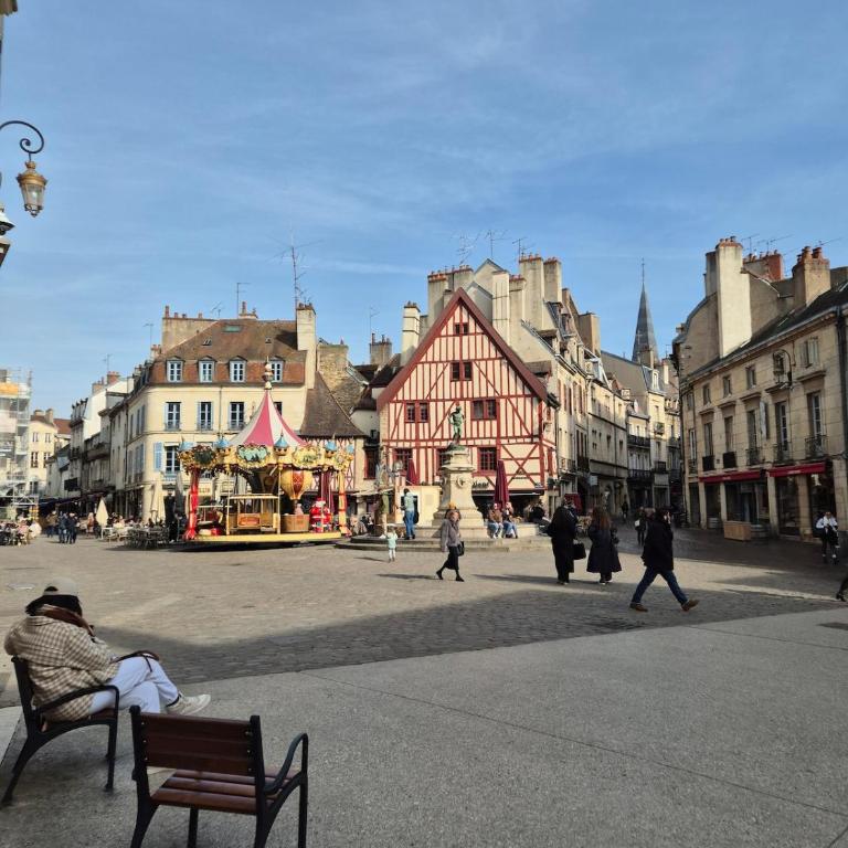 L'aparté Dijonnaise Hypercentre Dijon Darcy - Appartamento con 1 Camera da Letto - 4