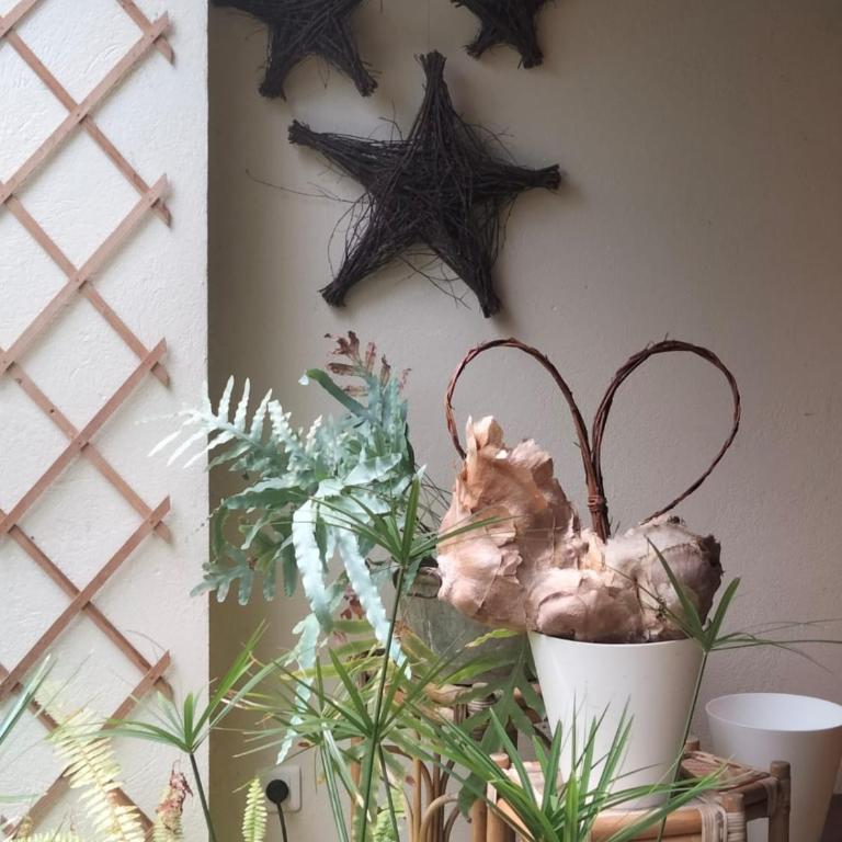 La verrière - Maison 1 Chambre - 50