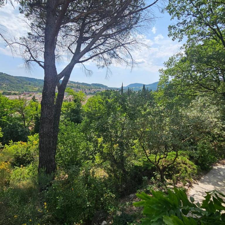 Villa Calou à Vaison - Maison 4 Chambres - 63