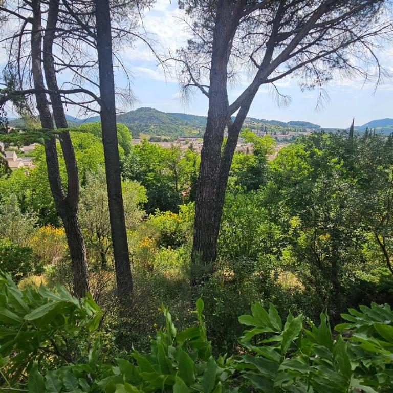 Villa Calou à Vaison - Maison 4 Chambres - 64