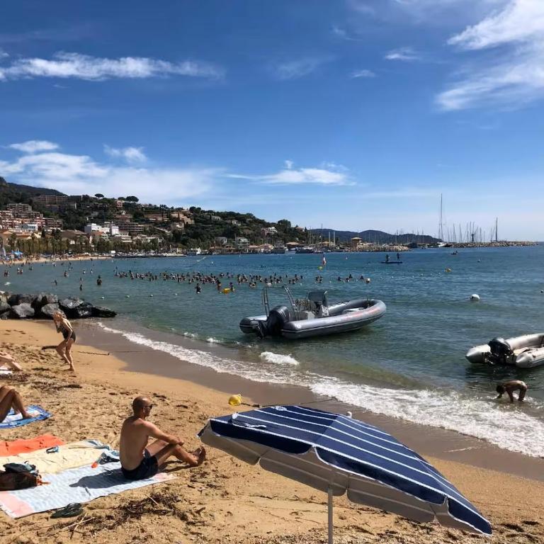 Studio Coralines Plage 500 m - Appartamento Monolocale - 5