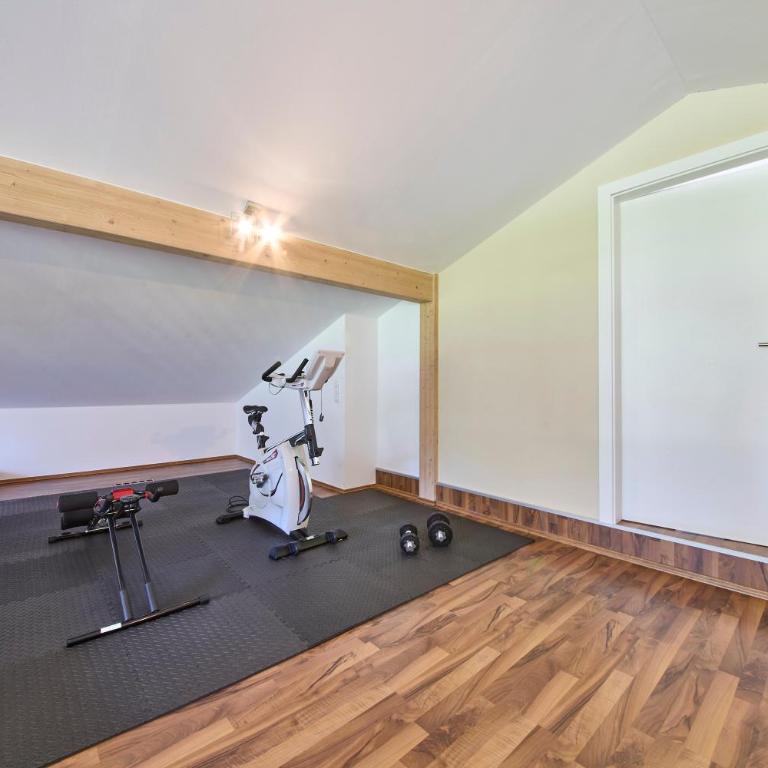 Penthouse Holleis - Superior Chalet - 37