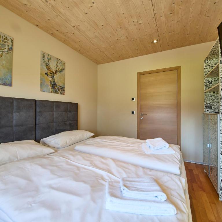 Penthouse Holleis - Superior Chalet - 42