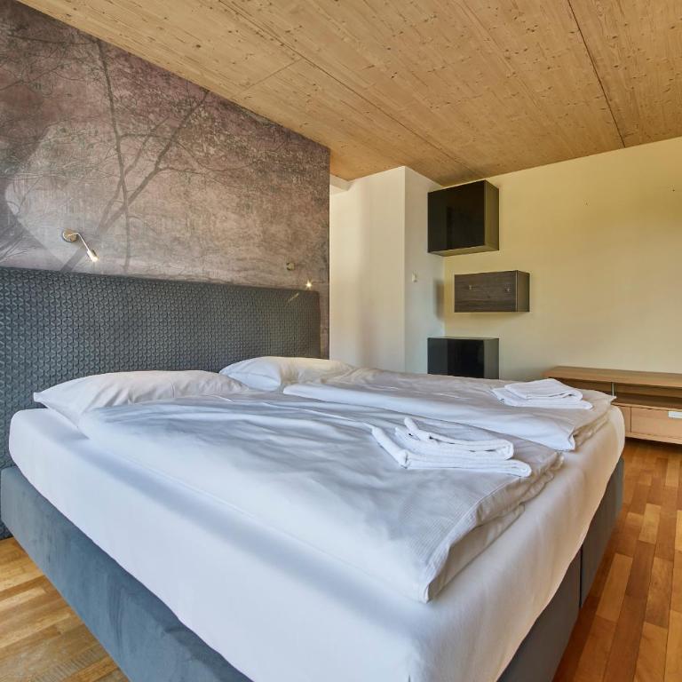 Penthouse Holleis - Superior Chalet - 47