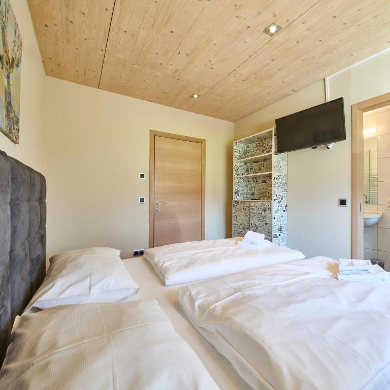 Penthouse Holleis - Superior Chalet - 73