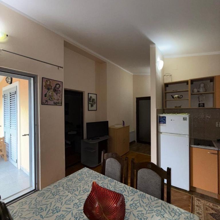 Apartment Stana - Apartman sa 1 Spavaćom Sobom - 10