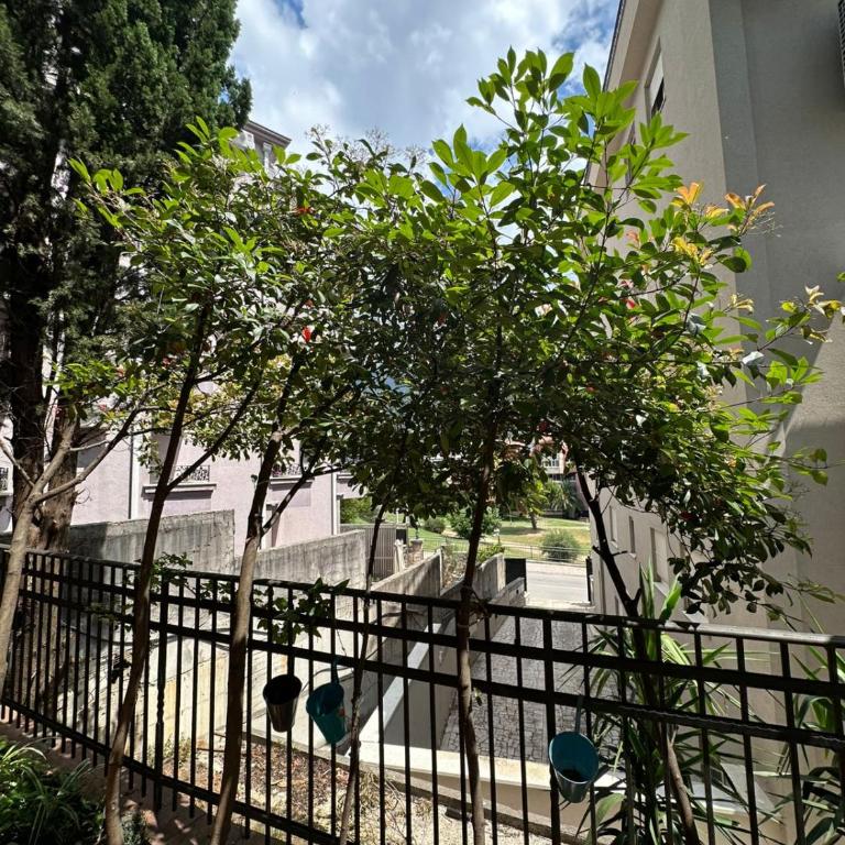 Bono Apartments - Suite - 7