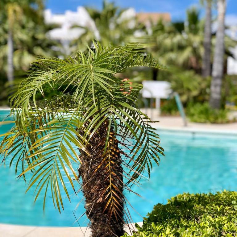 Alcazaba Lagoon, Estepona - Apartamento de 2 dormitorios - 33