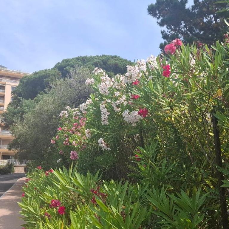 Le Parc Impérial - Apartamento de 1 dormitorio - 30