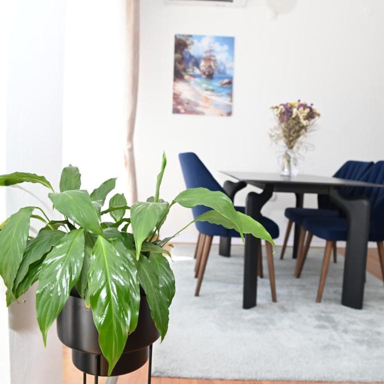 Bolero - Apartman sa 1 Spavaćom Sobom - 10
