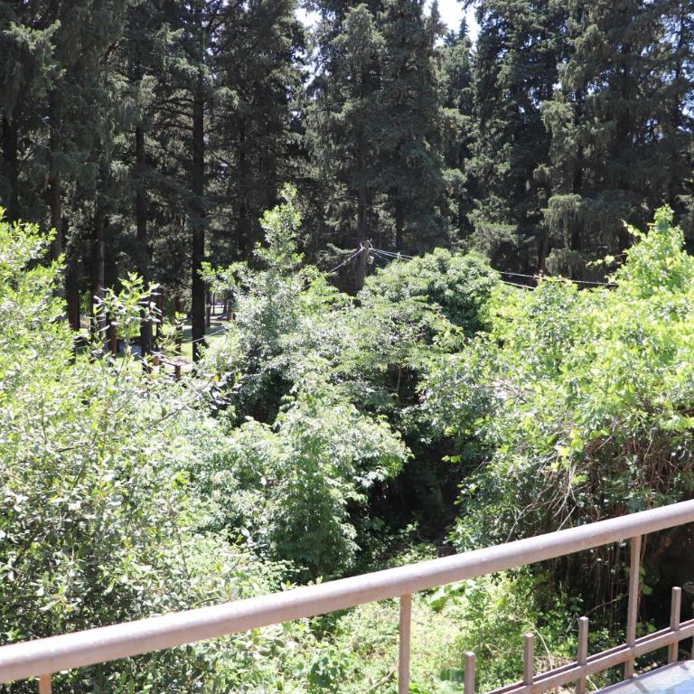 Aparmani Park Centar - Apartman sa 1 Spavaćom Sobom - 14