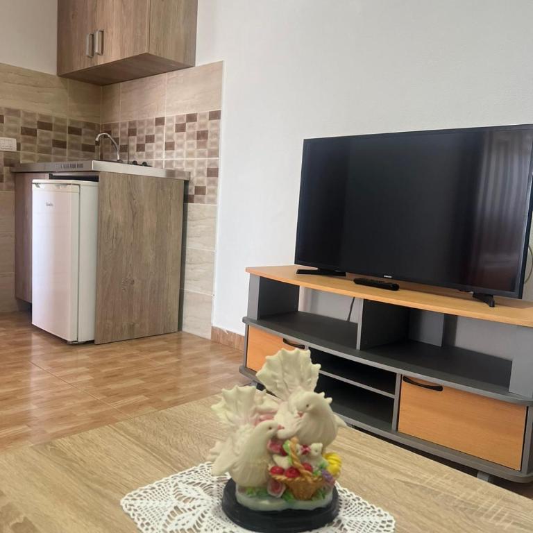 Halili Apartments - Deluks Apartman sa 2 Spavaće Sobe i Balkonom - 3