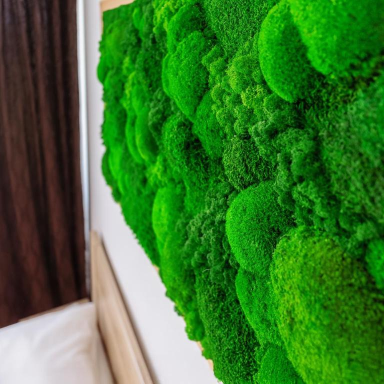 Englmar Apartments with free WELLNESS and FITNESS - Suite con Vista Giardino - 20