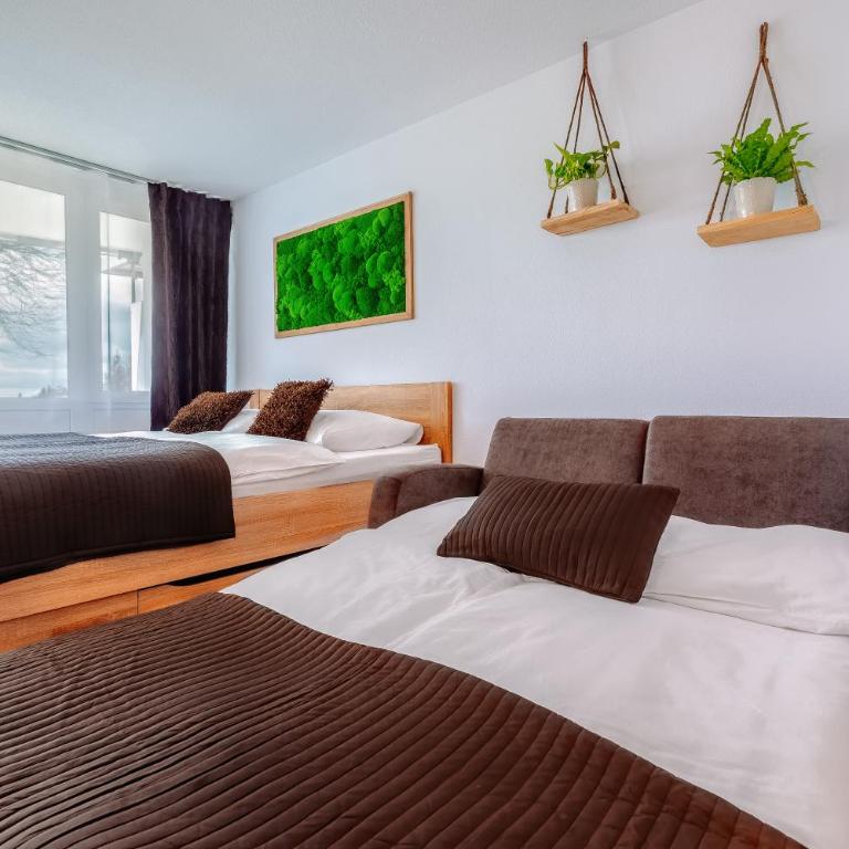 Englmar Apartments with free WELLNESS and FITNESS - Suite con Vista Giardino - 1