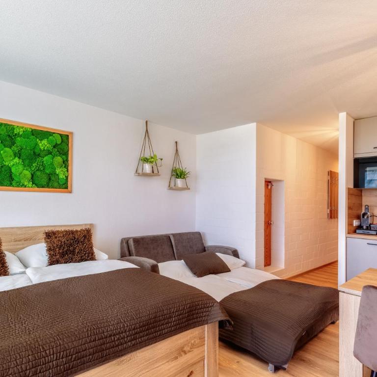 Englmar Apartments with free WELLNESS and FITNESS - Suite con Vista Giardino - 3