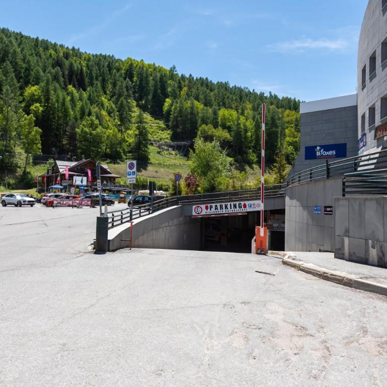 Sogno di Montagna sulle piste da Sci - Appartamento con 1 Camera da Letto - 23