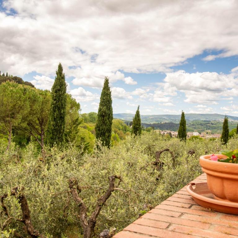 Chianti Villa with Private Park, 2 Apartments & Panoramic Views - Appartamento con 2 Camere da Letto - 7