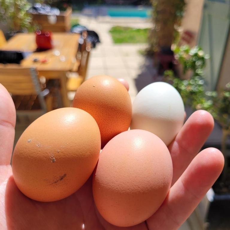 Family villa with pool in Aix-en-Provence - Villa - 12