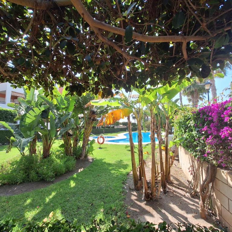 Paraiso de Vera Fatu Hiva Atico - Apartamento Ático - 37