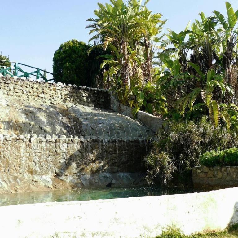 Cosy apartment, La Cala de Mijas - TCM - Apartamento de 2 dormitorios - 23