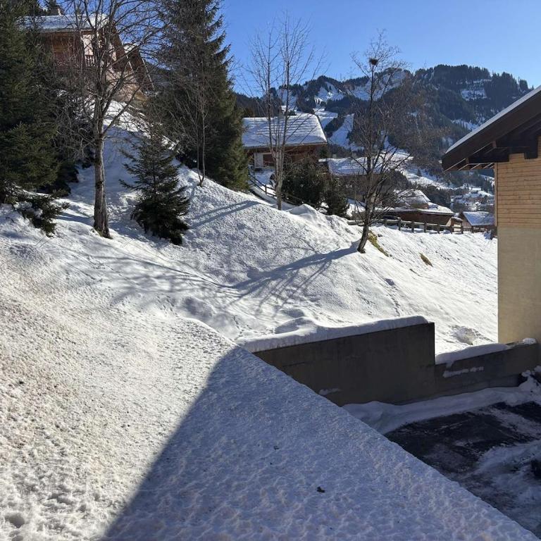 Yéti 6 n° 8 : appartement rénové au Petit Chatel - Appartamento - 11
