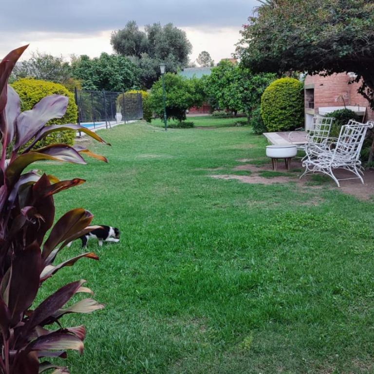 Casa y Deptos hasta 14 personas a minutos del del estadio, nodo tecnologico, y quincho de los Carabajal - One-Bedroom House - 24