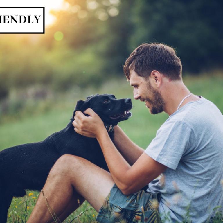 Luxury Cabin w Lake, HotTub, Cinema, Fire Pit, BBQ - Casa - 43