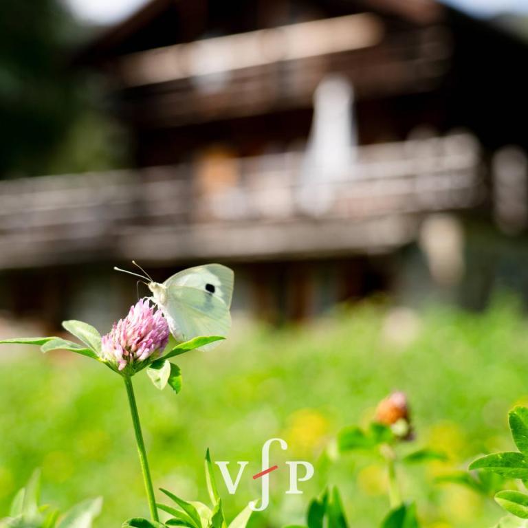 Grand Chalet Verbier - Chalet - 5