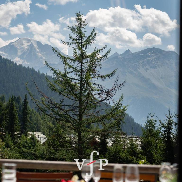 Grand Chalet Verbier - Chalet - 28