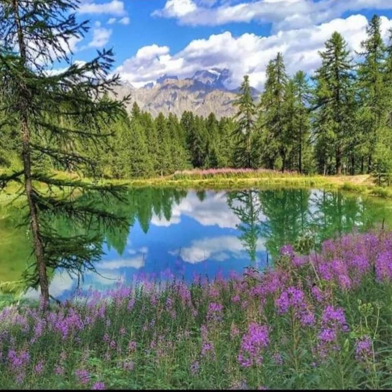 Appartement sur le Parc des Ecrins - Apartamento de 1 dormitorio - 1
