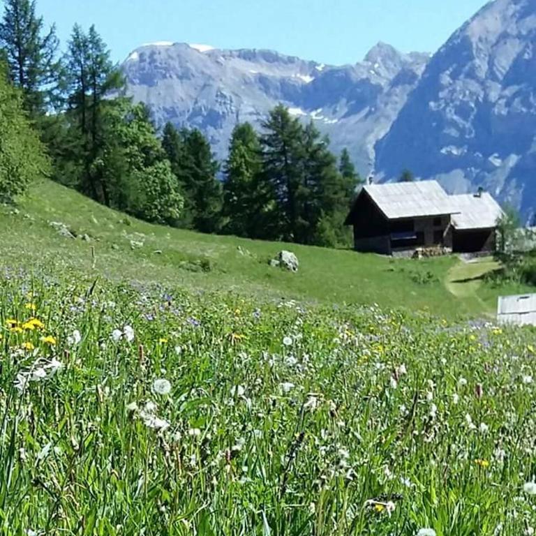 Appartement sur le Parc des Ecrins - Apartamento de 1 dormitorio - 15