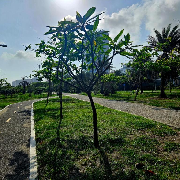 Lujosa suite, bella vista al mar - Apartamento de 1 dormitorio - 57