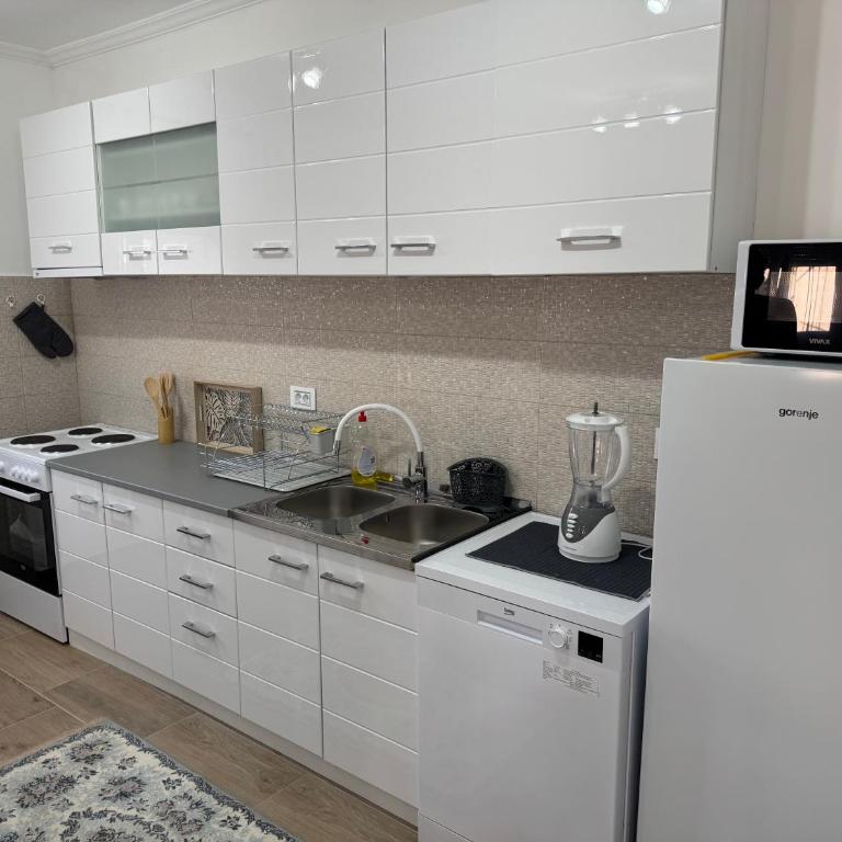 Lukic Guest house - Apartman sa 1 Spavaćom Sobom - 4
