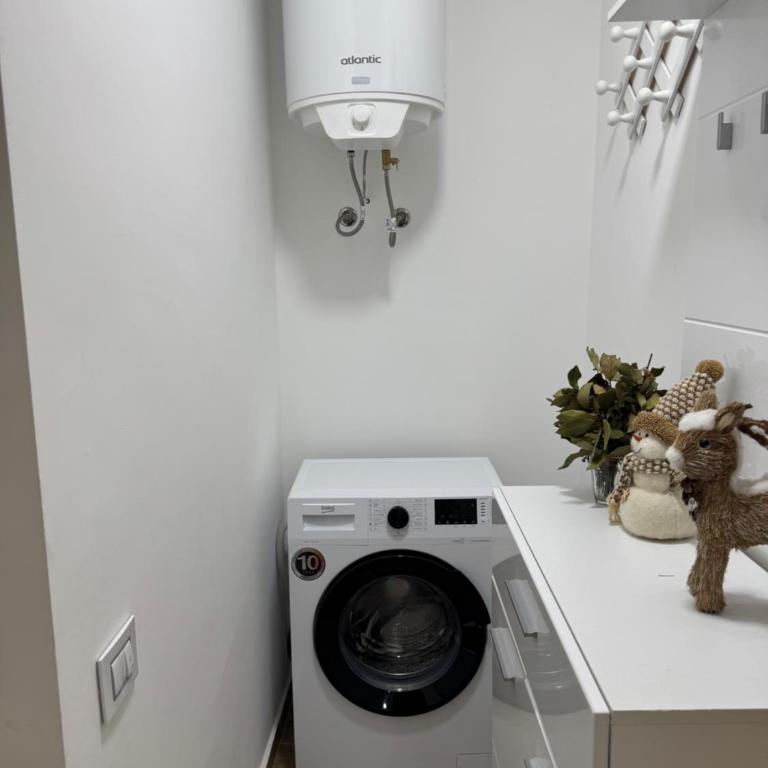 Lukic Guest house - Apartman sa 1 Spavaćom Sobom - 11