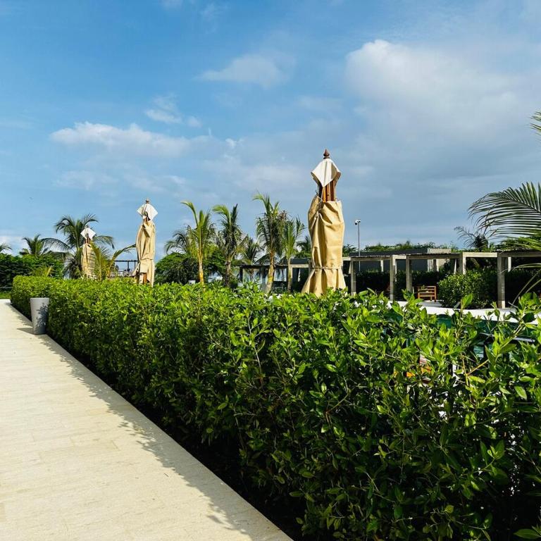 Spectacular Beachfront Apartment - Two-Bedroom Apartment - 84