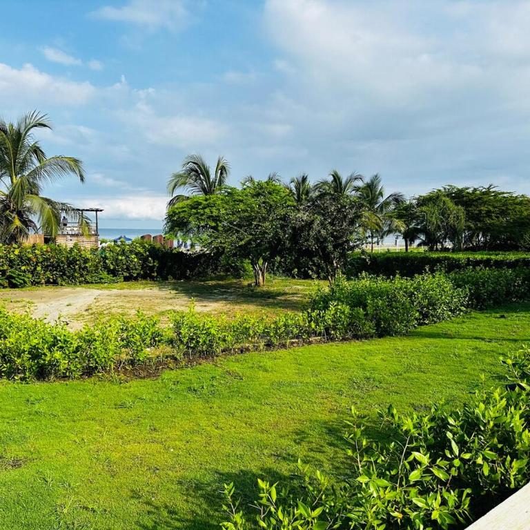 Spectacular Beachfront Apartment - Two-Bedroom Apartment - 46