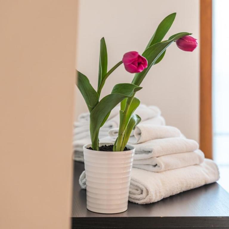 Flat Sonia - Two-Bedroom Apartment - 16