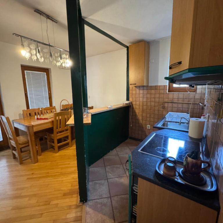 Apartmani Ema - Apartman sa 1 Spavaćom Sobom - 6