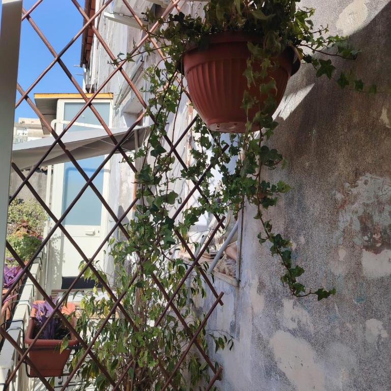 Carmen House - Double Room with Private Bathroom - 28
