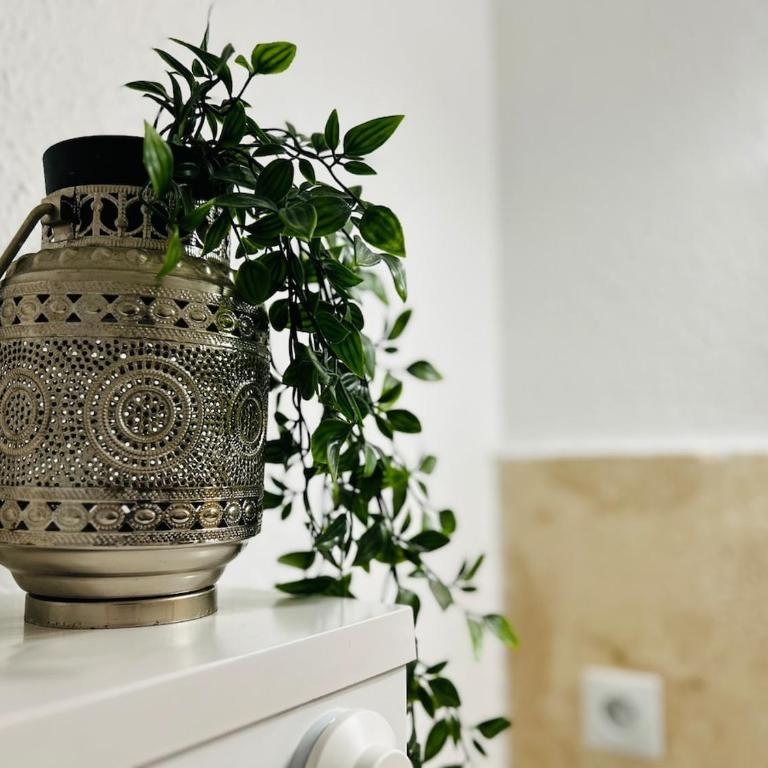 Studio Chanzy lumineux cozy avec terrasse Narbonne - Estudio con terraza - 16